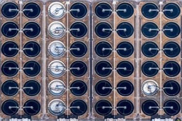 Donn Delson's assets for Nikon magazine article 'So you want to be an aerial photographer?'